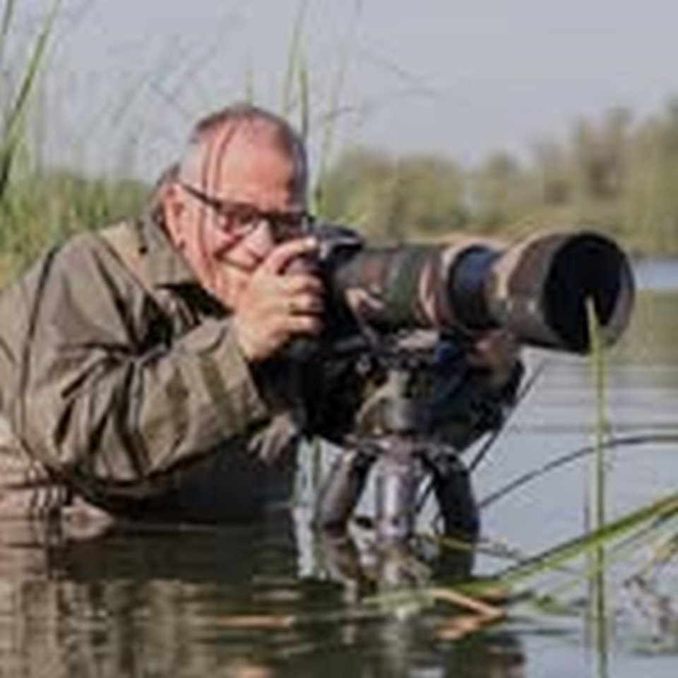 Henk Laverman wildlife photography
