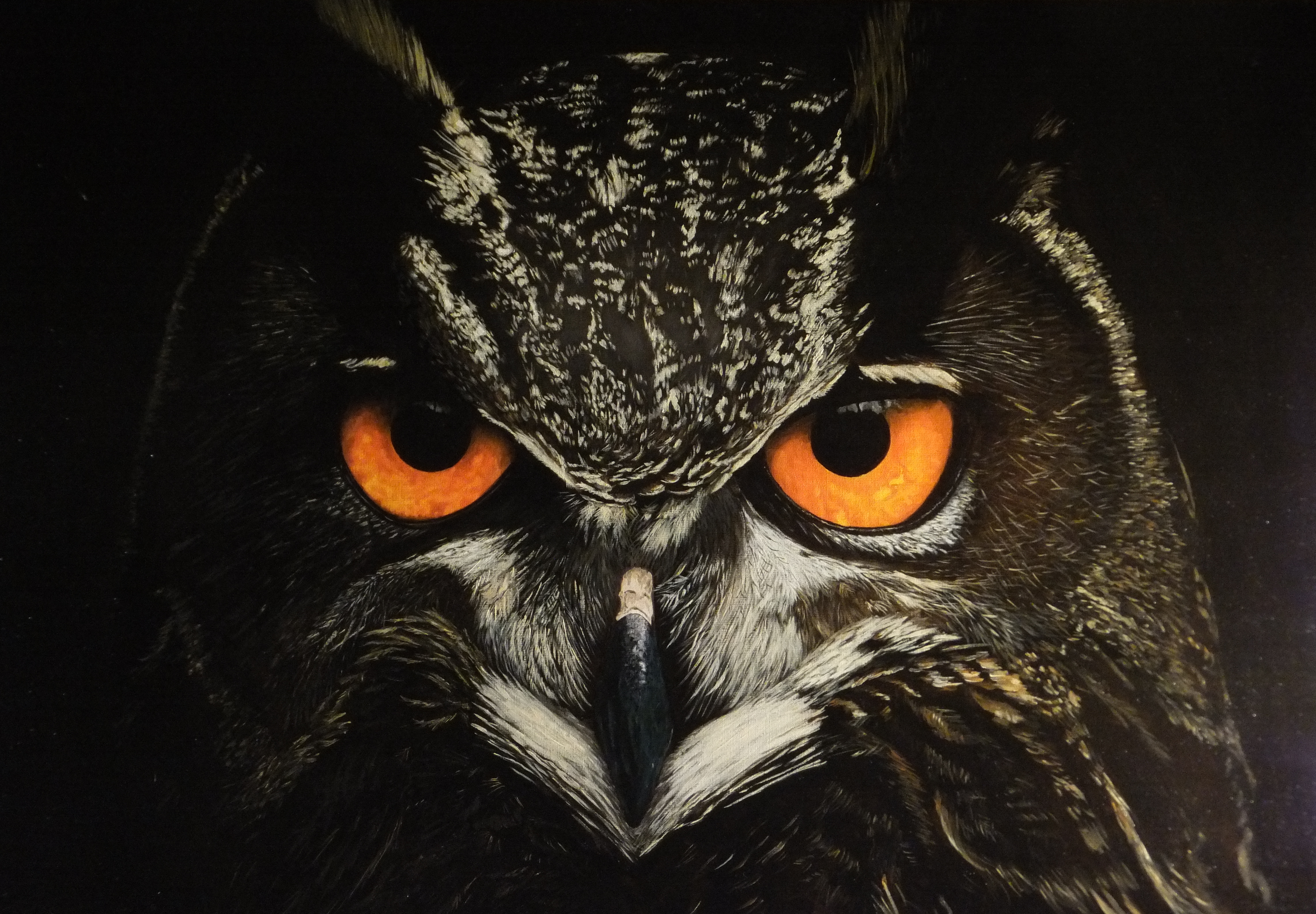 Owl